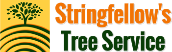 Stringfellow's Tree Service